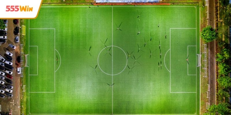 Hướng dẫn soi kèo bóng đá dành cho người mới